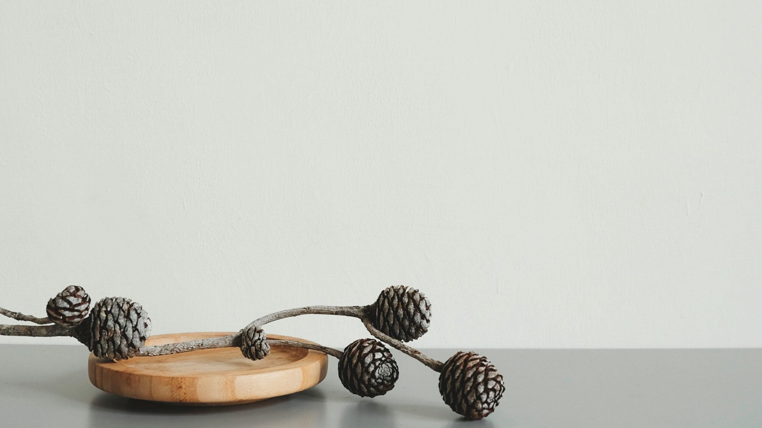 pexels hngstrm 1281787